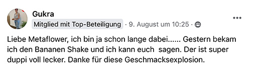 metaflow-erfahrungsbericht-gukra-14-08-2024